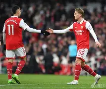 高晓晨为什么枪击王力